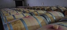 2022er CHATEAU BOURNAC, Medoc AOC Cru Bourgeois -0,75l- – Bild 3