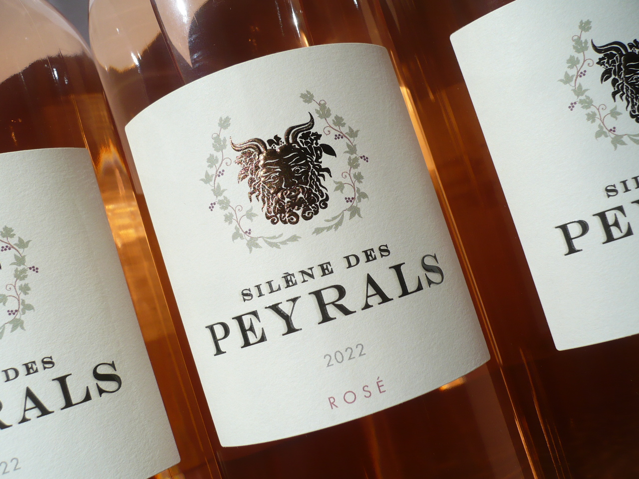 – Rosé SILÈNE -0,75- im Weinhandel IGP Languedoc DES Fedelhören 2022er PEYRALS